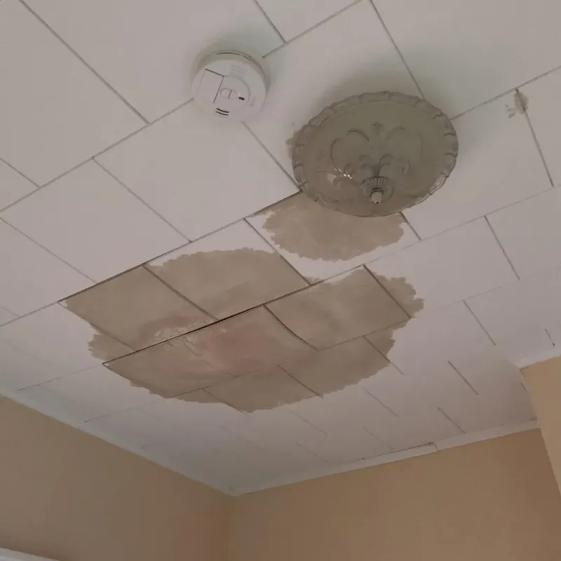 Ceiling Water Damage Repair in Warren, OR