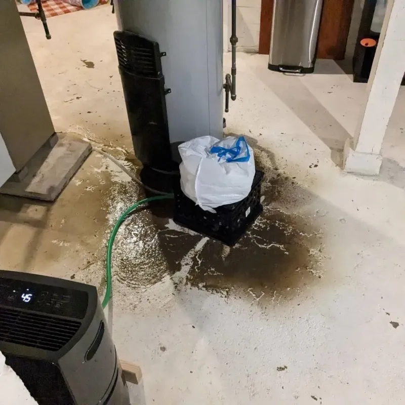 Sewage Backup Cleanup Service in Warren, OR